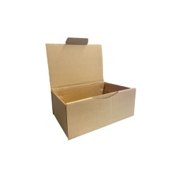 Boîte en carton kraft Taille GAMMA 25X15X10 cm