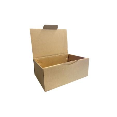Boîte en carton kraft Taille GAMMA 25X15X10 cm