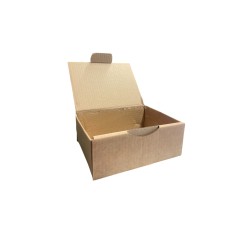 Boîte en carton kraft Taille DELTA 20X14X7,5 cm