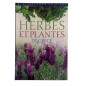 Livre - Herbes et plantes de Grèce MEDITERRANEO EDITIONS