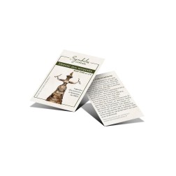 Carte à collectionner: La déesse aux serpents