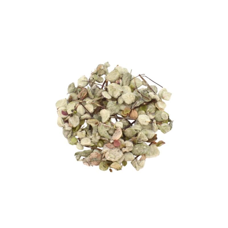 Dictame de Crète BIO (Origanum dictamnus) en vrac de 50 g