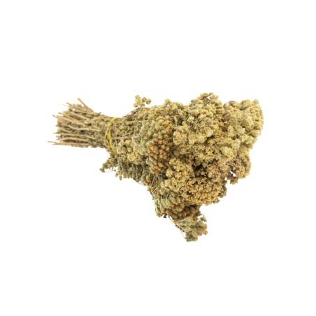 Origan de Crète BIO en branche (environ 50 g) en vrac