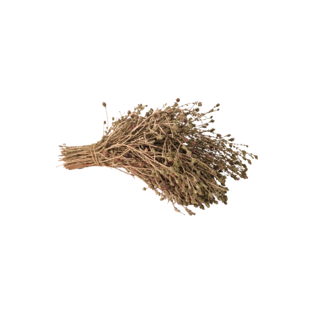 Thym de Crète crétois en branche (environ 50 g) en vrac