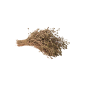 Thym de Crète crétois en branche (environ 50 g) en vrac