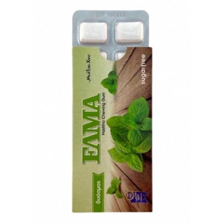 Chewing-gum à la menthe et mastic de Chios sans sucre AOP ELMA 13 g