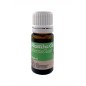 Huile essentielle de Mastiha 'Mastic' de Chios pur 5 ml