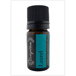 Huile Essentielle laurier EVERGETIKON 5 ml