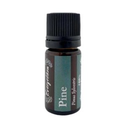 Huile Essentielle de pin EVERGETIKON 5 ml