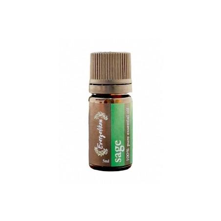 Huile essentielle de la sauge "Salvia Officinalis" EVERGETIKON 5 ml
