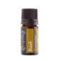 Huile essentielle de basilic (Ocimnum Basilicum) EVERGETIKON 5 ml