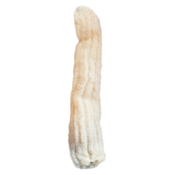 Luffa - éponge végétale naturelle SPONGEAN 65 à 70 cm