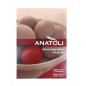 Colorant rouge pour œufs de Pâques avec gants et stickers en sachet 3 g ANATOLI (pour 40 œufs)