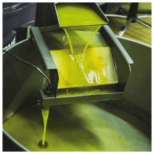 Article sur EURONEWS concernant la situation d'huile d'olive