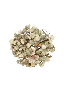 Tisane au dictame crétois en sachet DICTAMUS 10 sachets x 1 g