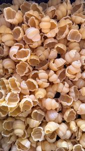 Pâtes coquillettes "Koxylaki" aux œufs traditionnelles de Lamia TSIATSOS 500 g