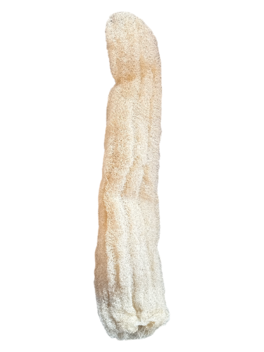 Luffa - éponge végétale naturelle SPONGEAN 65 à 70 cm