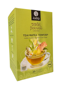 Thé des montagnes Matcha Gingembre 4VITA en sachets 20x1,5g