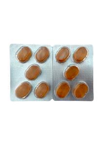 Pastilles à l'huile de mastic de l'île de Chios MASTIHA 20X2,2 gr