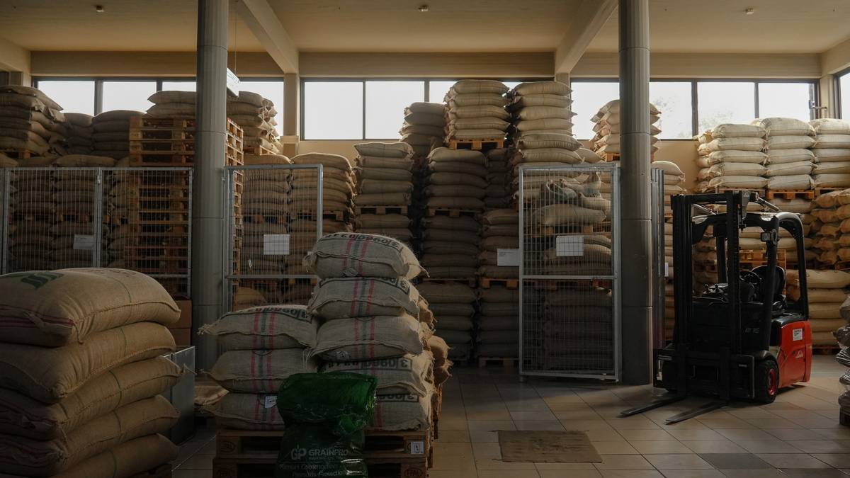 Sacs de jute de café vert dans l'entrepôt de la torréfaction Dandalis, en Crète