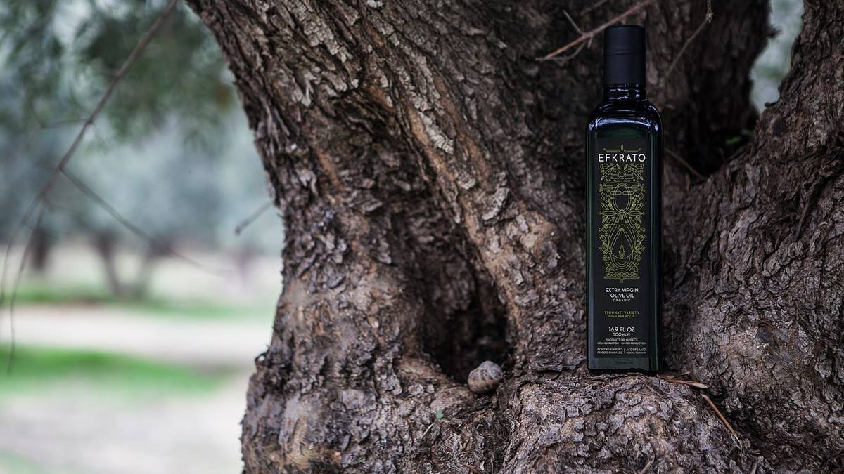 Bouteille d'huile d'olive Efkrato posée sur un tronc d'olivier