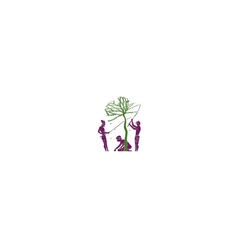 Logo KORONEKES